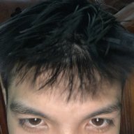 Son2005