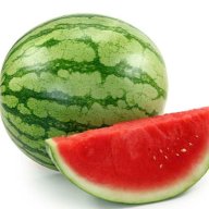 renonevada