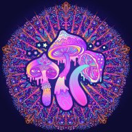 shroom