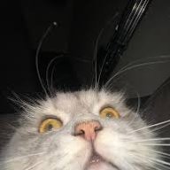 sacoyo