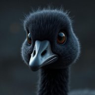 goose80