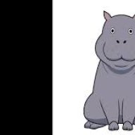 DazedHippo22
