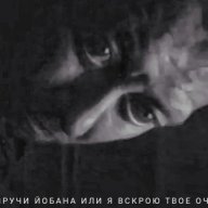 ilya1488