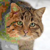 baltazarjoey