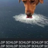 idk772