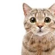 IIIIIIIIIIII