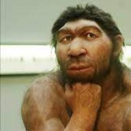 aleriumaseyas