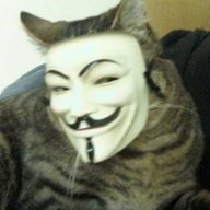 hackcat