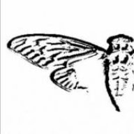 Cicada3301