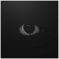 leavsty