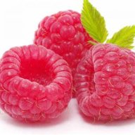 SourRasber