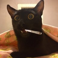 kshqc