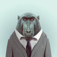 lolguy