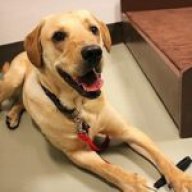 si233arg