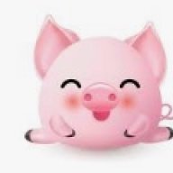 LittlePiggy