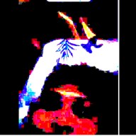 sbibbilok