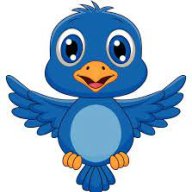 bird