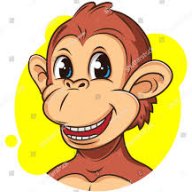 dondigi