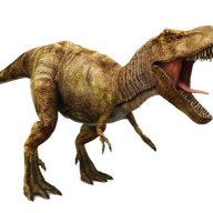 johnAlexandriti