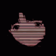 bandi