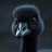 goose80